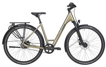 Aviolo 5.2 Forma 26 XS Light Olive_26