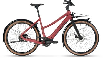 Cross E-Simeto LT 25 L Bordeaux Red