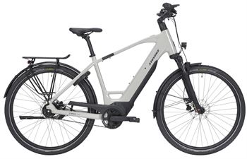 E-Courier 6.5.1 Plus HT 26 58 Sand Grey_26